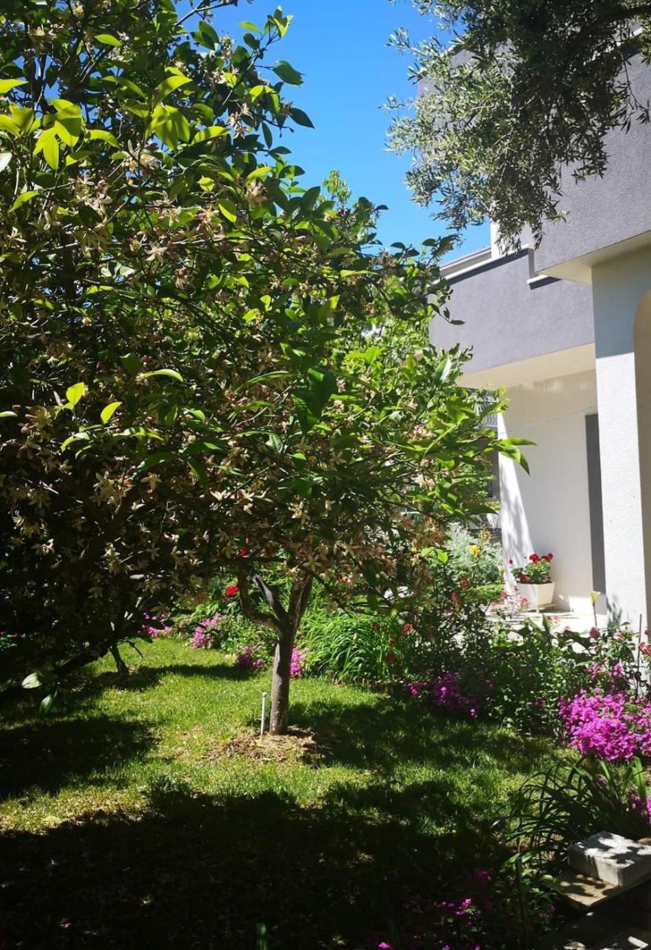 Apartmani Dianna Kastela Exterior photo